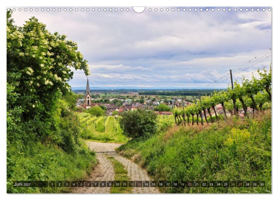 InsideView 11