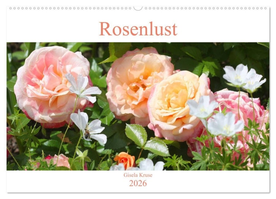 Rosenlust (Wandkalender 2026 DIN A2 quer), CALVENDO Monatskalender - Gisela Kruse