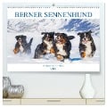 Berner Sennenhund - Ein Traum auf vier Pfoten (hochwertiger Premium Wandkalender 2025 DIN A2 quer), Kunstdruck in Hochglanz - Sigrid Starick