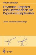 Cover-Bild zum Titel 'Feynman-Graphen und Eichtheorien für Experimentalphysiker' von 'Peter Schmüser'