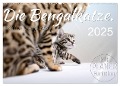 Die Bengalkatze. Edition Jungtiere (Wandkalender 2025 DIN A2 quer), CALVENDO Monatskalender - Sylvio Banker