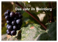 Das Jahr im Weinberg (Wandkalender 2026 DIN A3 quer), CALVENDO Monatskalender - Frank Baumert