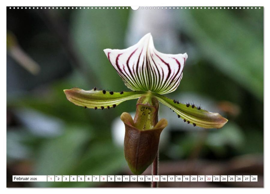 InsideView 7