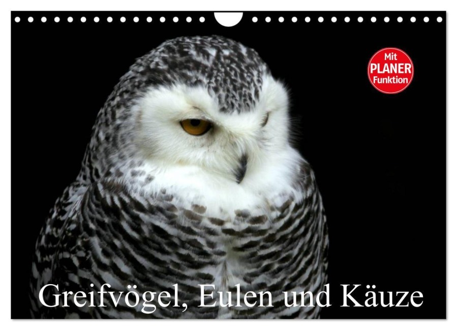 Greifvögel, Eulen und Käuze (Wandkalender 2026 DIN A4 quer), CALVENDO Monatskalender - Arno Klatt
