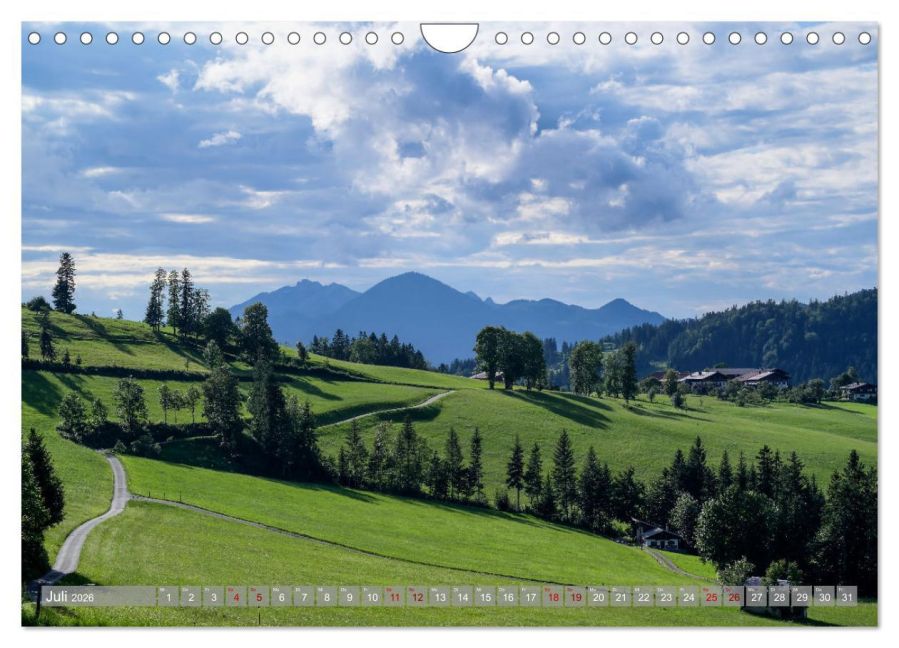 InsideView 12