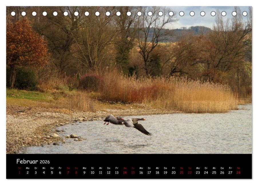 InsideView 7
