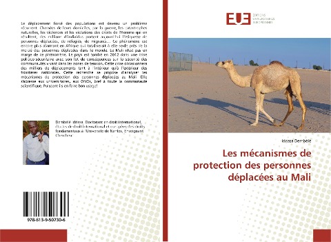 Les mécanismes de protection des personnes déplacées au Mali - Idrissa Dembélé