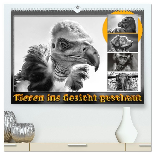 Tieren ins Gesicht geschaut (hochwertiger Premium Wandkalender 2026 DIN A2 quer), Kunstdruck in Hochglanz - Dieter Gödecke
