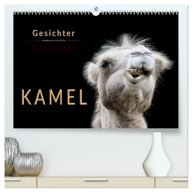 Kamel Gesichter (hochwertiger Premium Wandkalender 2026 DIN A2 quer), Kunstdruck in Hochglanz - Peter Roder