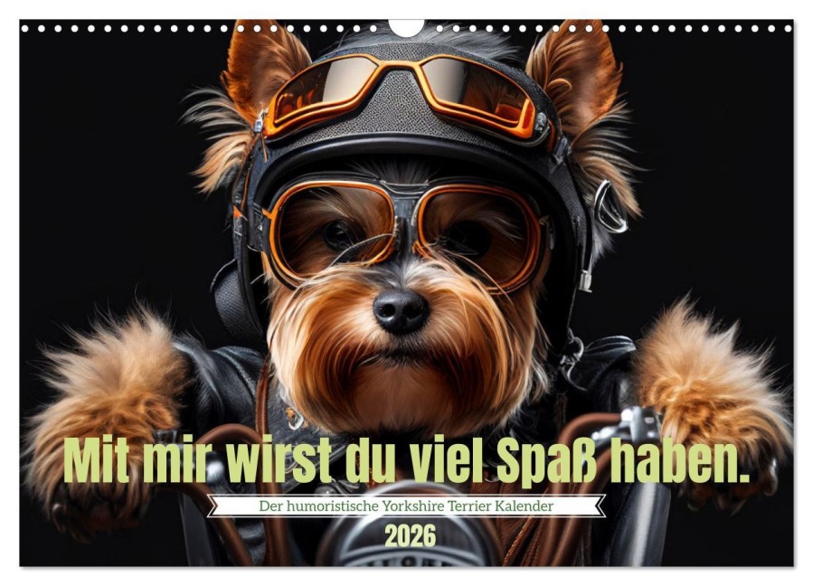 Der humoristische Yorkshire Terrier Kalender (Wandkalender 2026 DIN A3 quer), CALVENDO Monatskalender - Peter Rübsamen