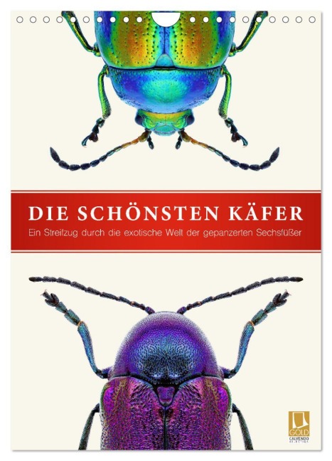 Die schönsten Käfer (Wandkalender 2026 DIN A4 hoch), CALVENDO Monatskalender - Wildlife Art Print