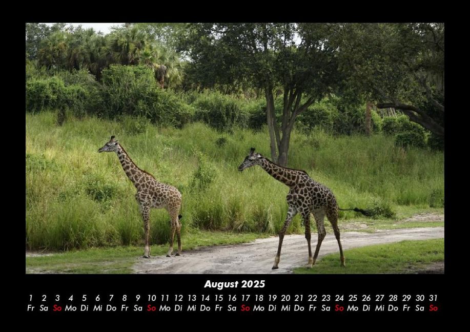 InsideView 12