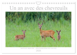 Cover-Bild zum Titel 'Un an avec des chevreuils (Calendrier mural 2026 DIN A4 vertical), CALVENDO calendrier mensuel' von 'Michael Breuer'