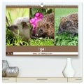Igel 2025. Tierische Impressionen (hochwertiger Premium Wandkalender 2025 DIN A2 quer), Kunstdruck in Hochglanz - Steffani Lehmann (Hrsg.