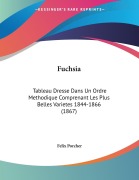 Cover-Bild zum Titel 'Fuchsia' von 'Felix Porcher'