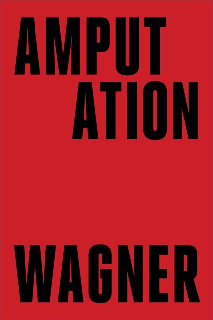 Amputation - Bruce Wagner