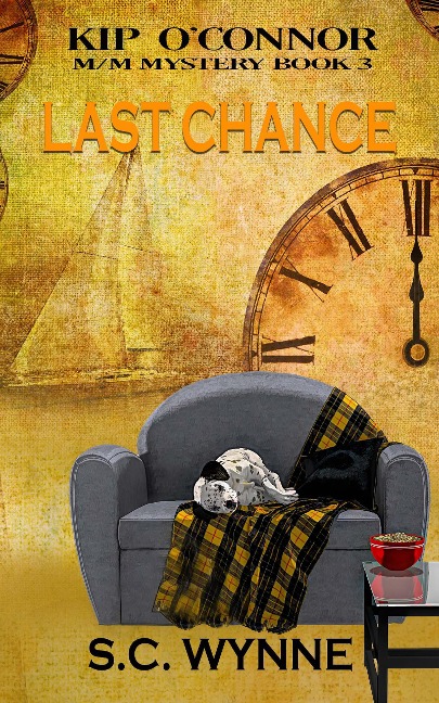 Last Chance (Kip O'Connor M/M Mystery, #3) - S. C. Wynne