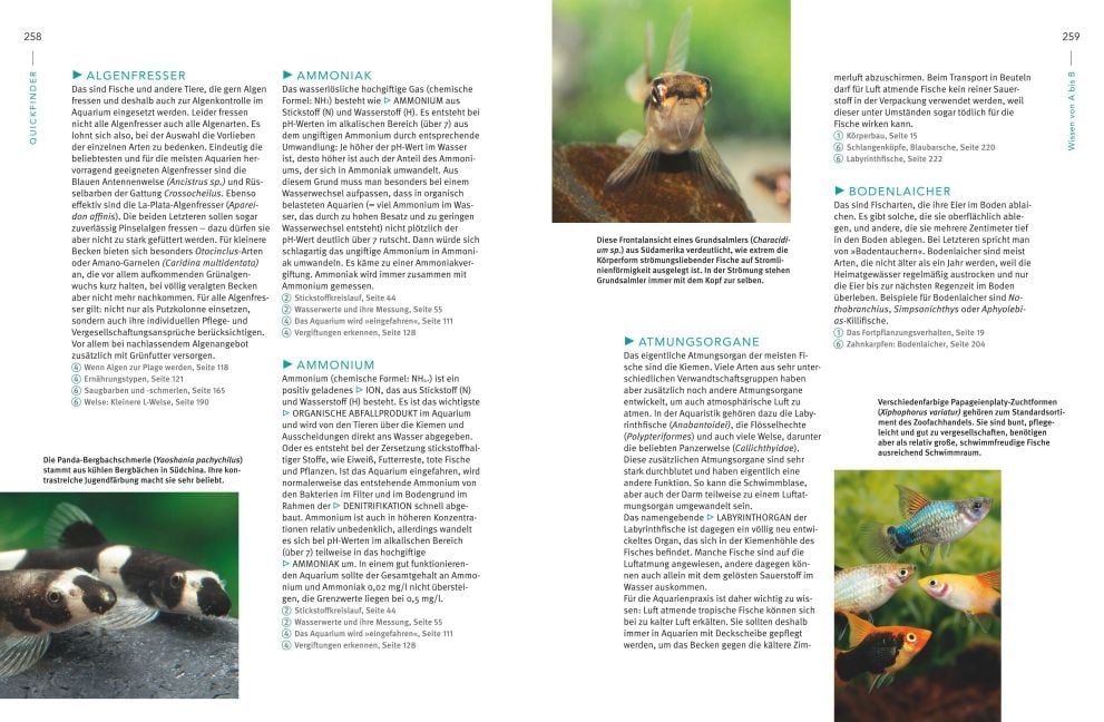 InsideView 11
