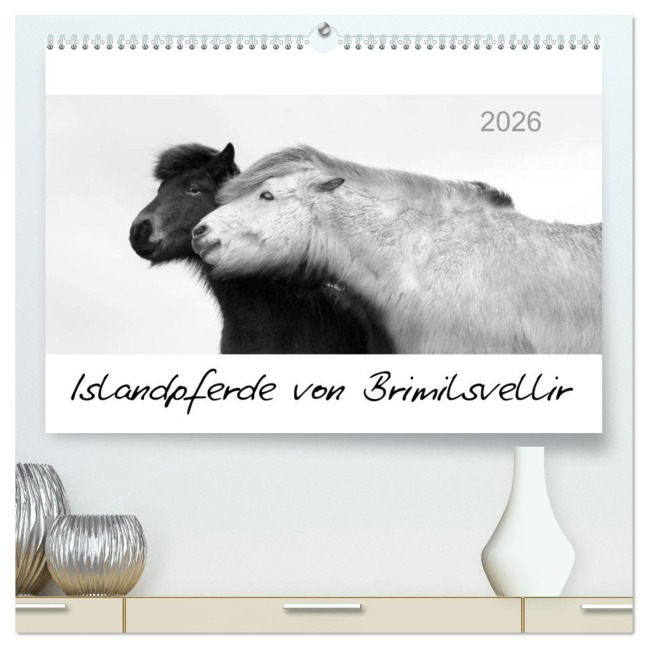 Islandpferde von Brimilsvellir (hochwertiger Premium Wandkalender 2026 DIN A2 quer), Kunstdruck in Hochglanz - Jutta Albert