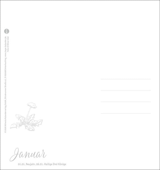 InsideView 15