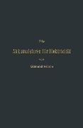 Cover-Bild zum Titel 'Die Akkumulatoren für Elektricität' von 'Edmund Hoppe'