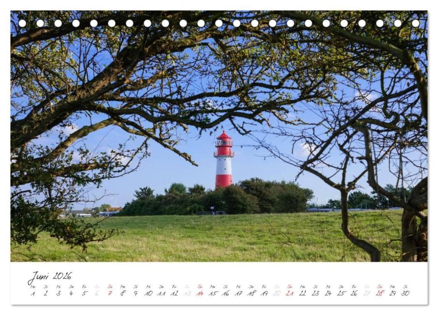InsideView 11