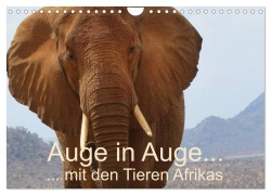 Cover-Bild zum Titel 'Auge in Auge mit den Tieren Afrikas (Wandkalender 2026 DIN A4 quer), CALVENDO Monatskalender' von 'Brigitte Dürr'