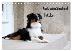 Cover-Bild zum Titel 'Australian Shepherd Tri Color (Tischkalender 2026 DIN A5 quer), CALVENDO Monatskalender' von 'Youlia Youlia'