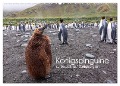Königspinguine - zu Besuch auf Südgeorgien (Wandkalender 2025 DIN A2 quer), CALVENDO Monatskalender - Michael Altmaier