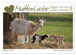 Mutterliebe - Ziegen mit ihren süßen Lämmern (Wandkalender 2025 DIN A2 quer), CALVENDO Monatskalender - Sabine Löwer