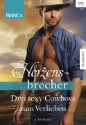 Cover-Bild zum Titel 'Bianca Herzensbrecher Band 1' von 'Judy Christenberry, Brenda Jackson, Judy Duarte'
