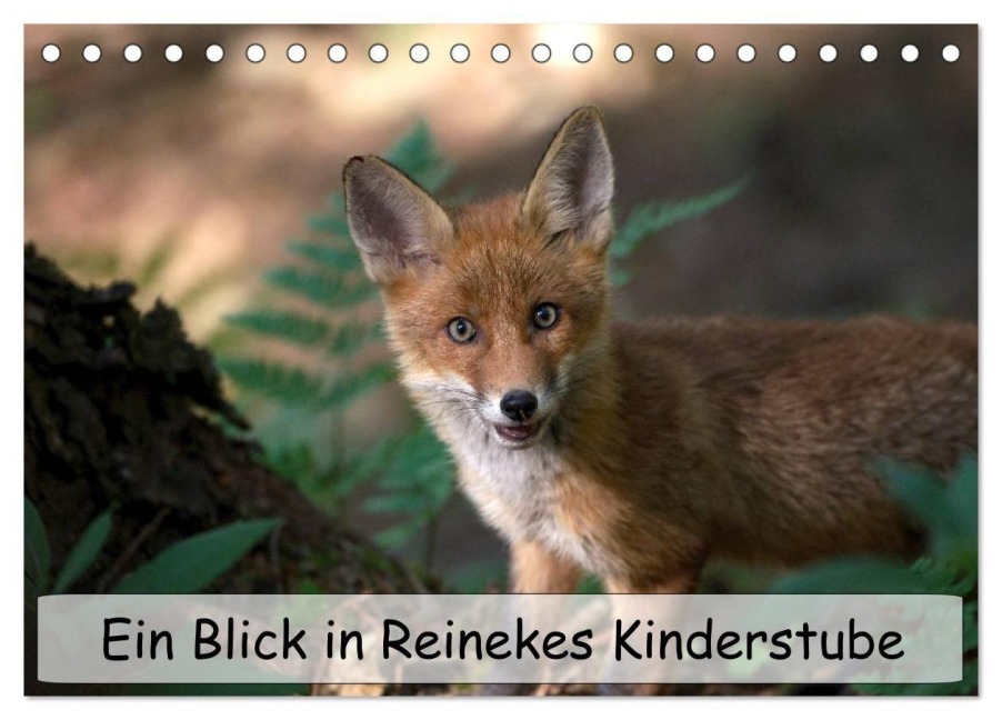 Ein Blick in Reinekes Kinderstube (Tischkalender 2027 DIN A5 quer), CALVENDO Monatskalender - Mirko Fuchs