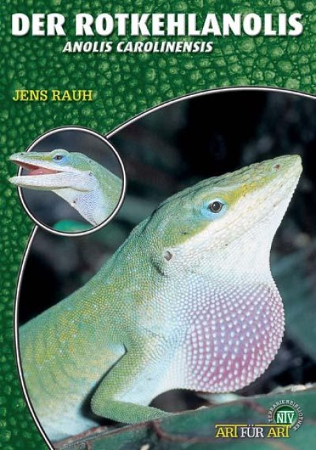 Der Rotkehlanolis - Jens Rauh