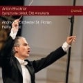 Cover-Bild zum Titel 'Symphonie d-Moll - Die Annullierte' von 'R'my/Altomonte Orchester St. Florian Ballot'