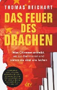 Cover-Bild zum Titel 'Das Feuer des Drachen' von 'Thomas Reichart'