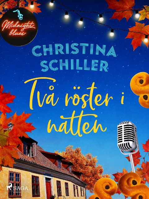 Två röster i natten - Christina Schiller
