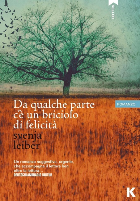 Da qualche parte c'è un briciolo di felicità - Svenja Leiber