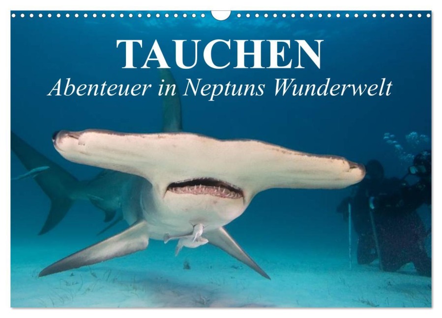 Tauchen - Abenteuer in Neptuns Wunderwelt (Wandkalender 2025 DIN A3 quer), CALVENDO Monatskalender - Elisabeth Stanzer