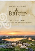 Cover-Bild zum Titel 'Brigid' von 'Dirk Grosser, Jennie Appel'