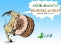 Cover-Bild zum Titel 'Bilmeceli Maniler' von 'Cabir Alacatli'