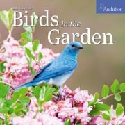 Cover-Bild zum Titel 'Audubon Birds in the Garden Wall Calendar 2026' von 'Workman Calendars'
