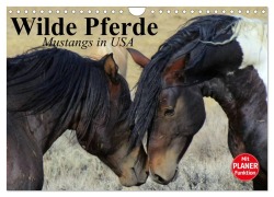 Wilde Pferde. Mustangs in USA (Wandkalender 2026 DIN A4 quer), CALVENDO Monatskalender - Elisabeth Stanzer