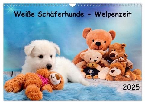 Weiße Schäferhunde - Welpenzeit (Wandkalender 2025 DIN A3 quer), CALVENDO Monatskalender - Diana Hachmeyer