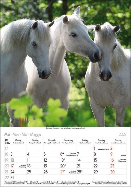 InsideView 5