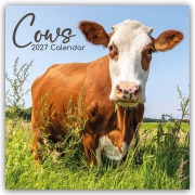 Cover-Bild zum Titel 'Cows - Kühe 2027 - 16-Monatskalender' von 'Gifted Stationery Co. Ltd'