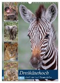 Dreikäsehoch - Tierkinder im südlichen Afrika (Wandkalender 2025 DIN A3 hoch), CALVENDO Monatskalender - Wibke Woyke