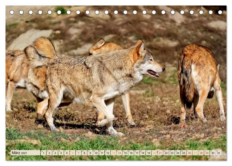 InsideView 8