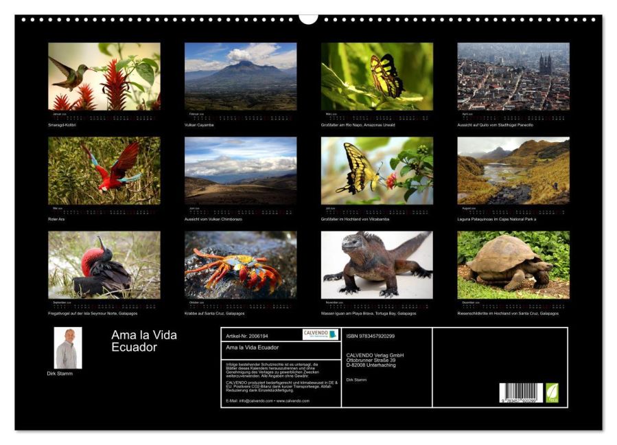 InsideView 5