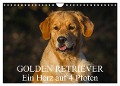 Golden Retriever - Ein Herz auf 4 Pfoten (Wandkalender 2024 DIN A4 quer), CALVENDO Monatskalender - Sigrid Starick