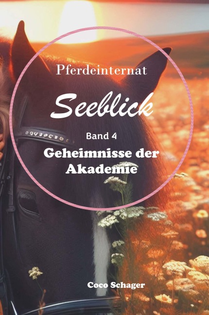 Pferdeinternat Seeblick Band 4 - Coco Schager